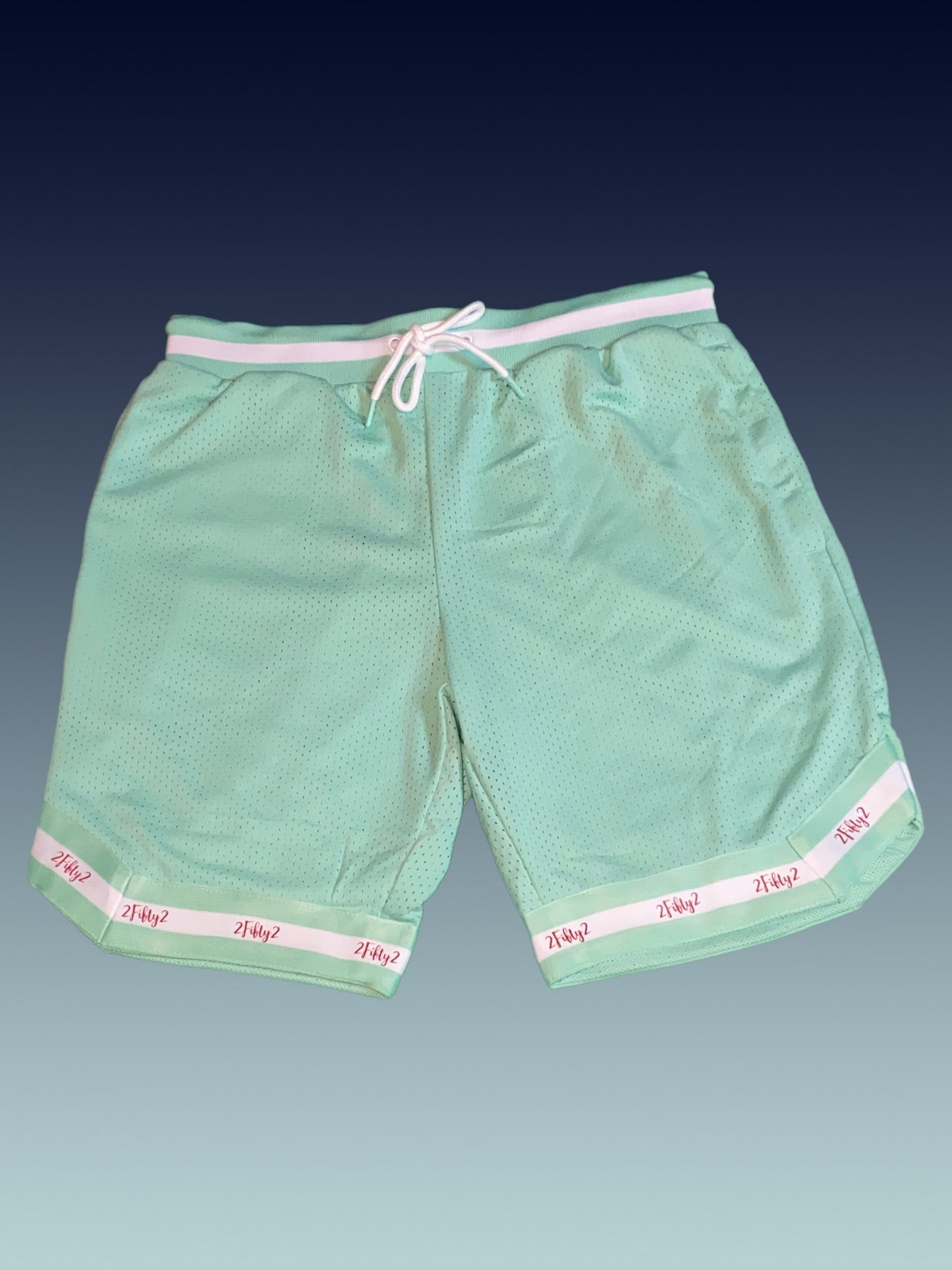 Mens basketball shorts - 2fifty2 , mint